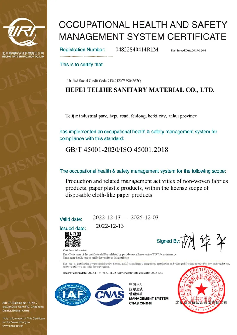gbt45001 occupational health and safety management system certificate