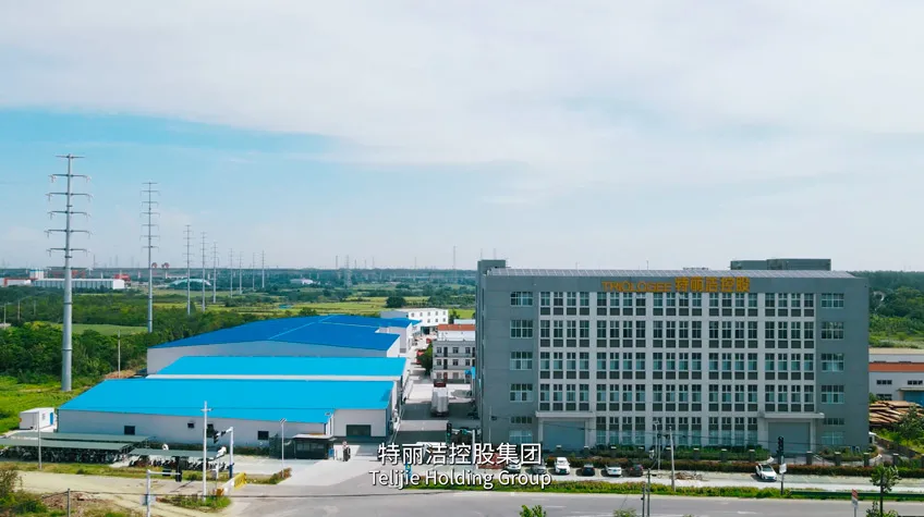 Telijie Company Introduction