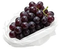 Organic Produce Exporter - Chile